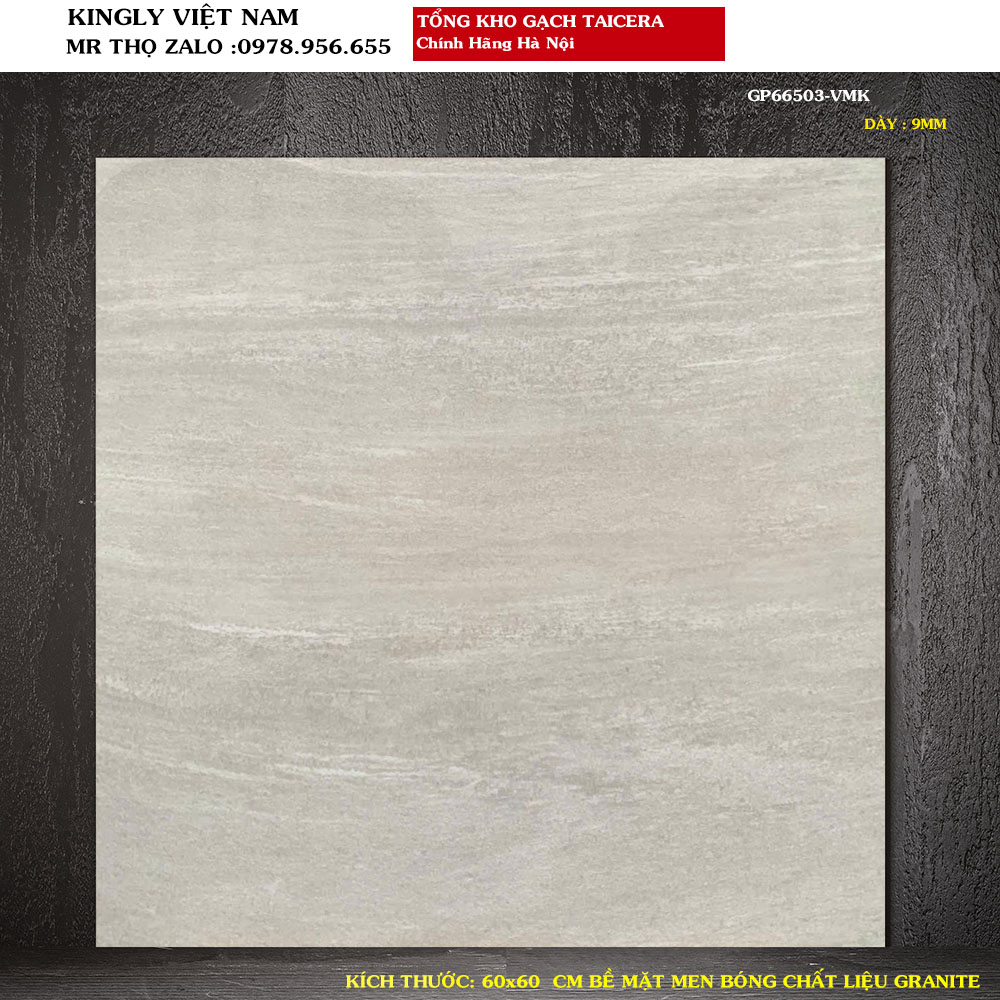 Gạch lát nền Taicera 60x60 GP66053 Loại 1